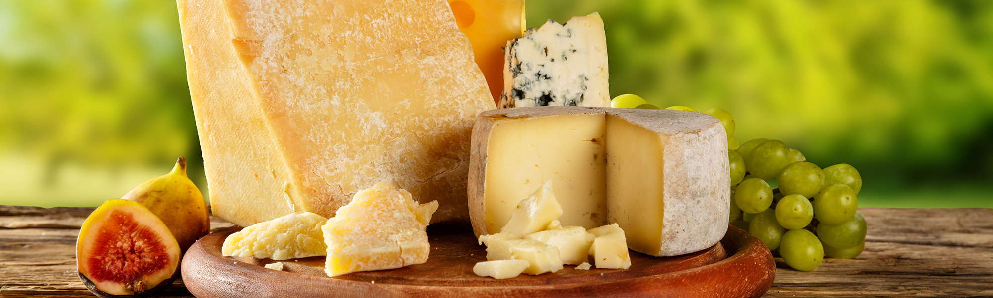Premium cheese and dairy products showcase