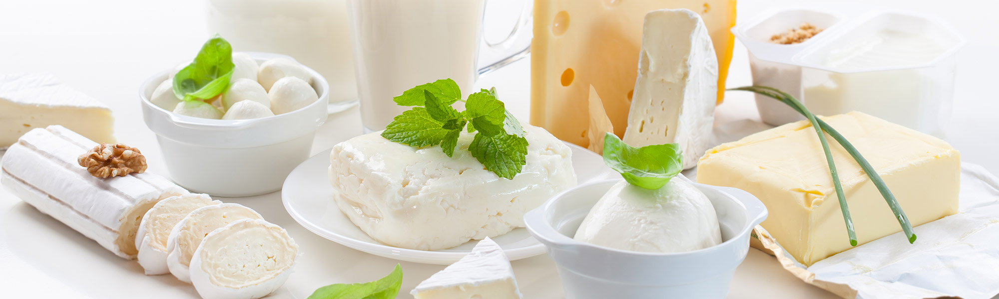 Gourmet cheese and culinary creations